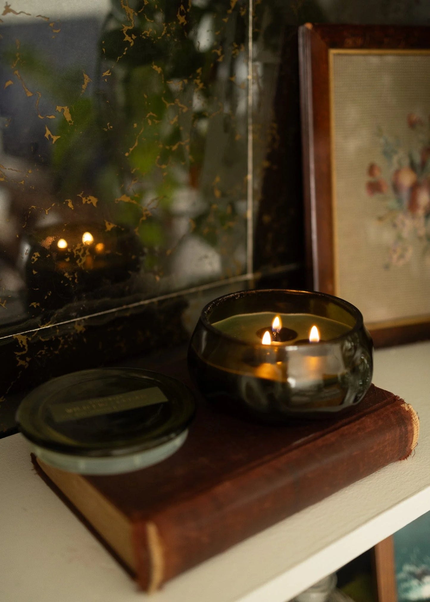 Wild Fig & Cedar - 3 Wick Candle