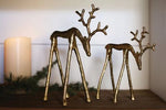Rex Reindeer