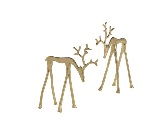 Rex Reindeer