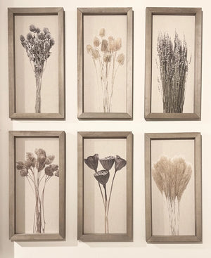 Textured Botanicals - Wall Art