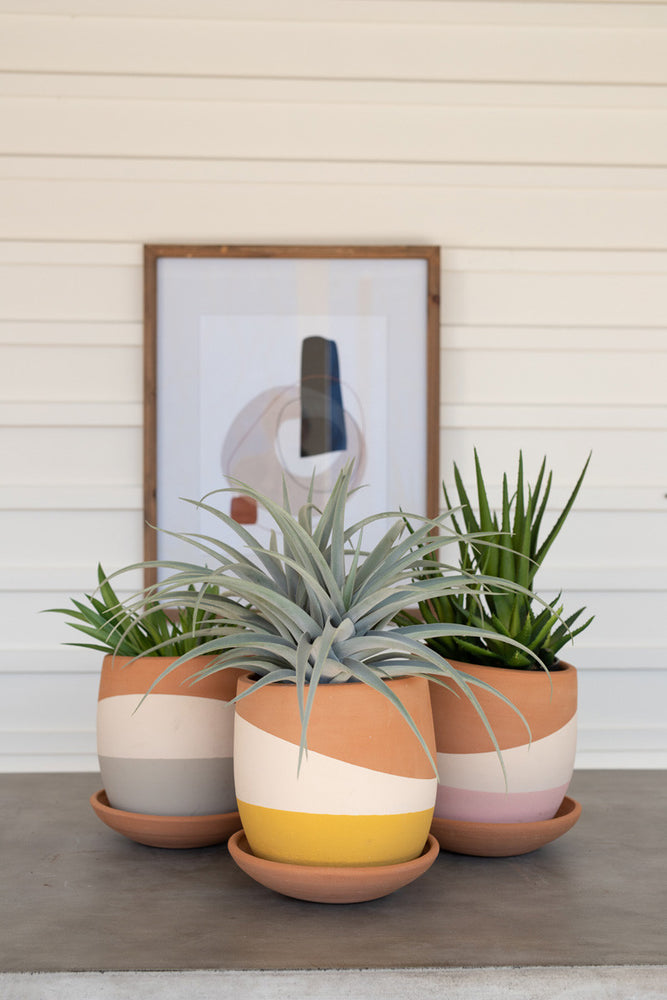 
            
                Load image into Gallery viewer, Color Dipped Clay Pots With Clay Saucers
            
        